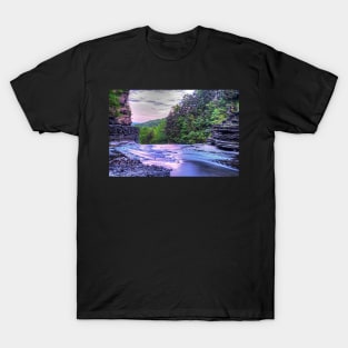 Top of the Fall Ithaca NY Robert H. Treman State Park T-Shirt